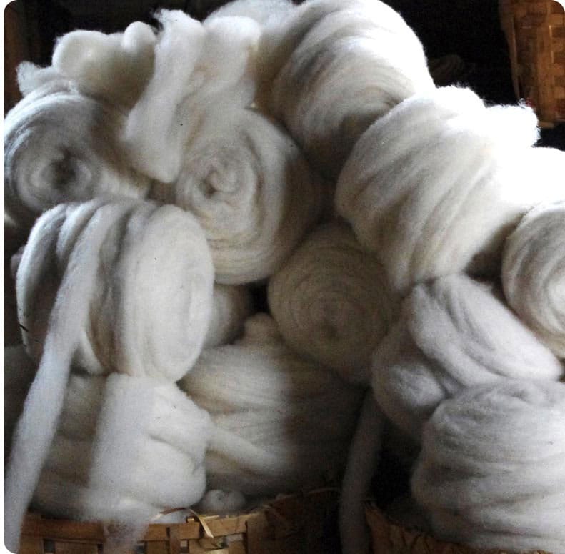 Roving Fiber – A Continuous Strand Of Carded Fiber 